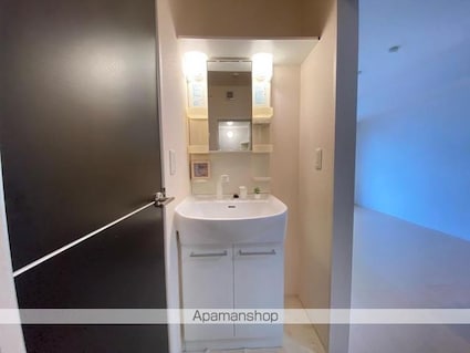 香川県高松市三条町[1LDK/33.39m2]の洗面所