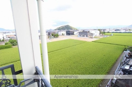 アイランドスペース上林[1K/23.74m2]の内装1