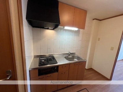 エクセルハイム[1K/30.96m2]のキッチン1