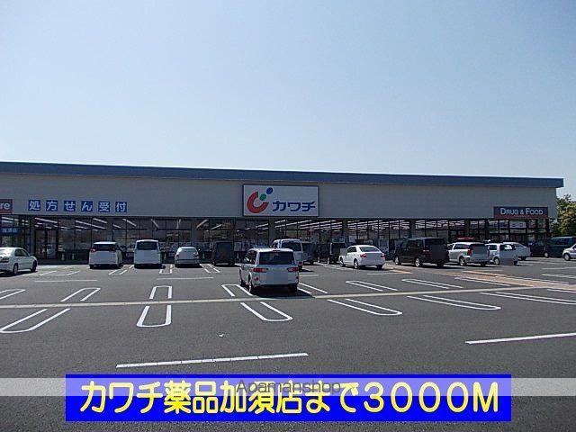 ピュアアクティブIIの周辺写真