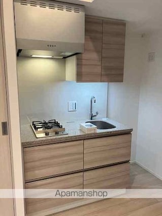 ザ・パークハビオ代々木[1R/23.6m2]のキッチン