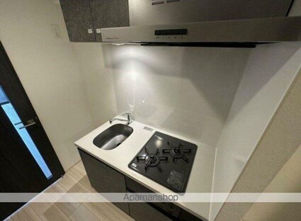 ＴＨＥ　ＰＡＳＥＯ新小岩Ⅱ[1K/21.66m2]のキッチン