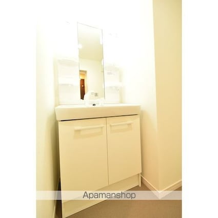 フェリス国立[2LDK/52.05m2]の洗面所