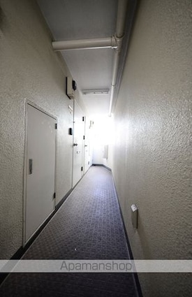 メゾン・ド・レコルテ[1R/13.11m2]の共用部10
