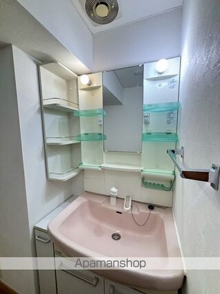 ライオンズマンション聖蹟桜ヶ丘第２[1R/53.15m2]の洗面所