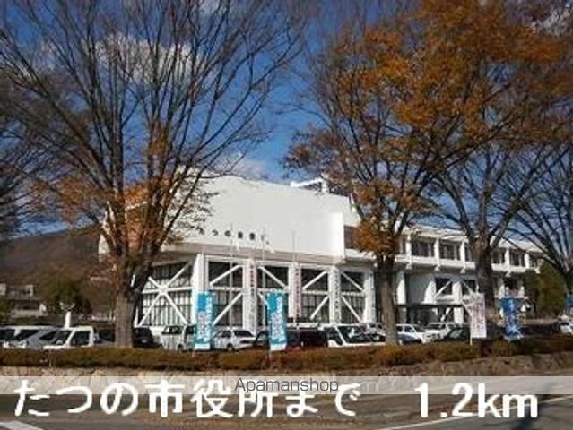 サフランの周辺写真