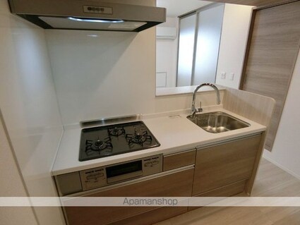 セレスティア柴又ＩＩＩ[2LDK/41.78m2]のキッチン