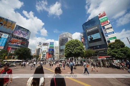 東京都目黒区駒場１丁目[1K/40.99m2]の周辺7