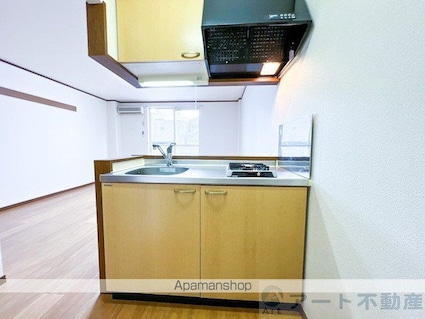 メゾン２１[1R/29.16m2]のキッチン