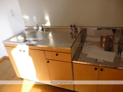 サンシャインパインウェル[2DK/41.39m2]のキッチン