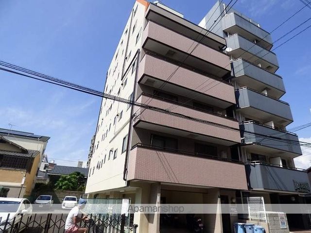 エルシャイン光