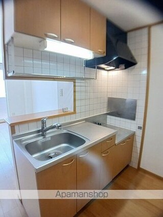 シャン・ミリューⅡＤ[1R/33.15m2]のキッチン