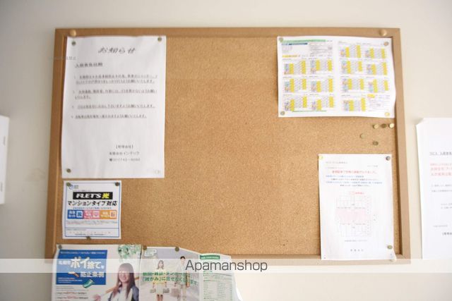 LAPISのその他写真