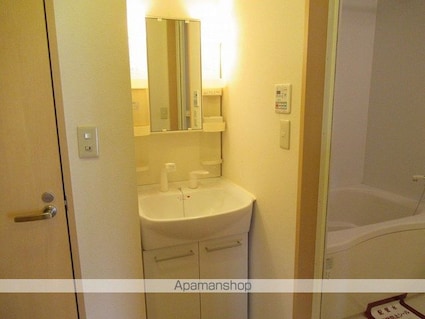 ポラリス[2K/43m2]の洗面所