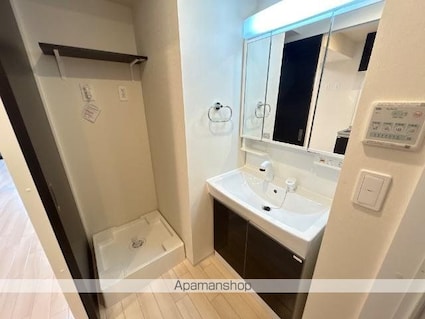 ピーニャ市川[1LDK/33.15m2]の洗面所