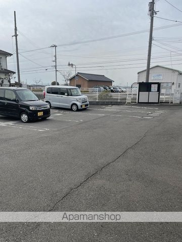 秋桜ミディのその他写真