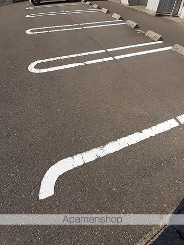 スターウイングのその他写真
