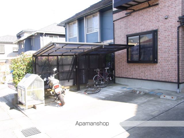 アマリリスのその他写真