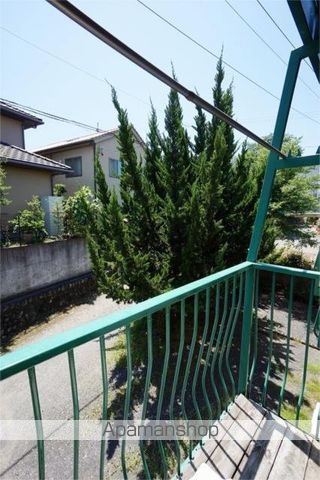 サンフラワーのその他写真