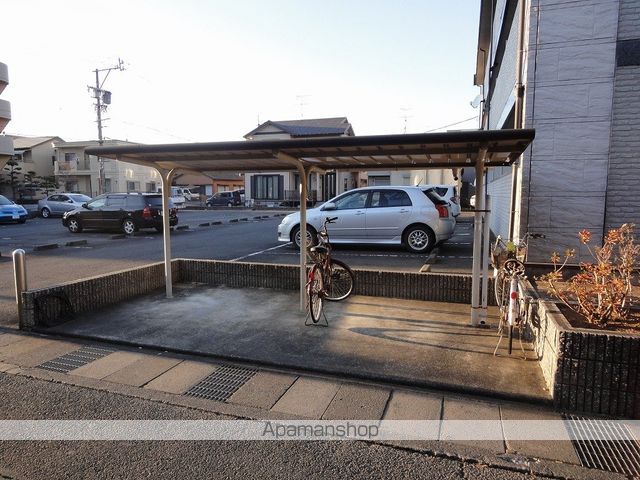 スターチスのその他写真