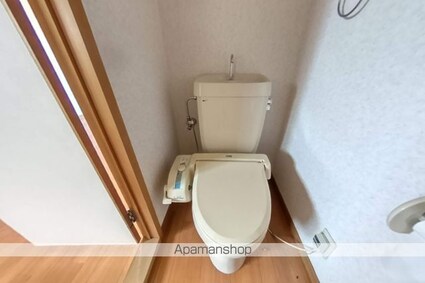 岩崎ハイツ[1R/26m2]のトイレ