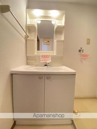 パレットタウン山端Ⅱ[2LDK/64.43m2]の洗面所