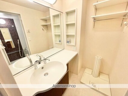 プレミスト　Ⅳ[1LDK/30.3m2]の洗面所