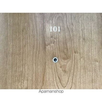 モデラート西新宿[1R/17.2m2]のエントランス2