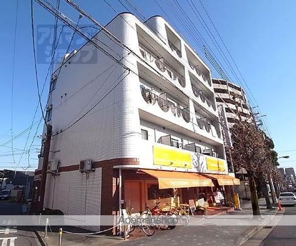 レイ紫野