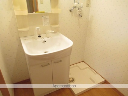 岩手県盛岡市新田町[2DK/38.76m2]の洗面所