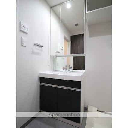 プレール・ドゥーク亀戸Ⅵ[1LDK/36.37m2]の洗面所