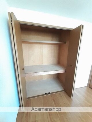 ハイツ・林[2DK/46.13m2]の収納