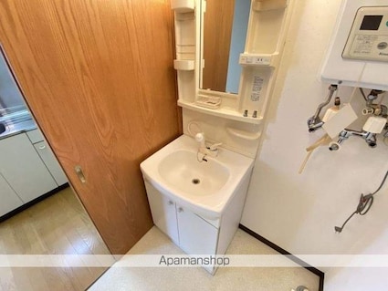 シェルメゾンダイチ[1LDK/42.93m2]の洗面所