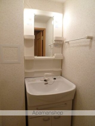 ハイライズ　ミズキ[1R/23.02m2]の洗面所