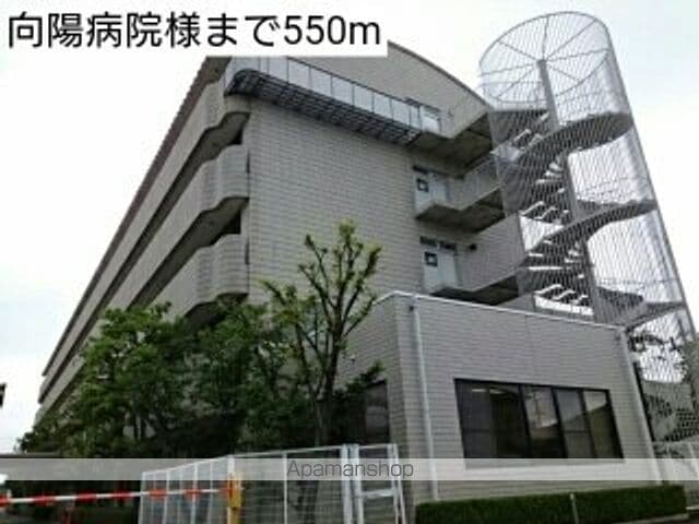 ハミングバードの周辺写真