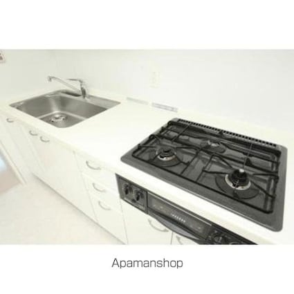 パークアクシス日本橋ステージ[1LDK/45.49m2]のその他内装3