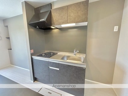 Ｗｏｏｄｓｔｏｃｋ　Ｎｅｓｔ[1R/31.74m2]のキッチン