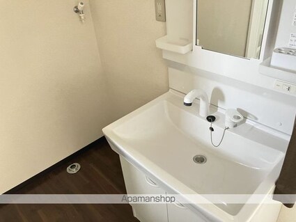 ユニオンシティ[2K/39.66m2]の洗面所