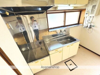 ハイツエーコーＮｏ．１（ハイツエーコーナンバーワン）[1LDK/38.66m2]のキッチン