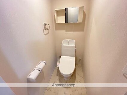 チェリーヒル[2LDK/52.91m2]のトイレ