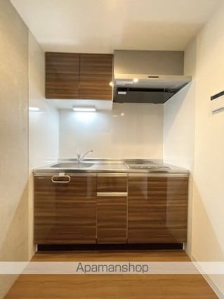 スカイラシクラス平和台[1LDK/43.48m2]のキッチン