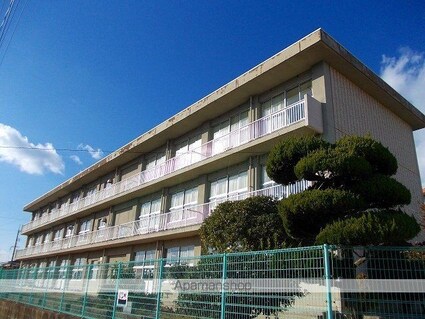 サンハイツ近田Ｂ[3DK/51.3m2]の周辺3