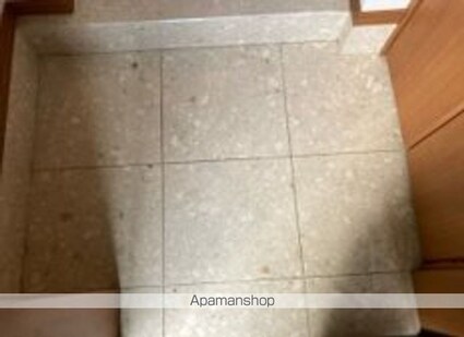 日神デュオステージ両国[1DK/30.27m2]の玄関