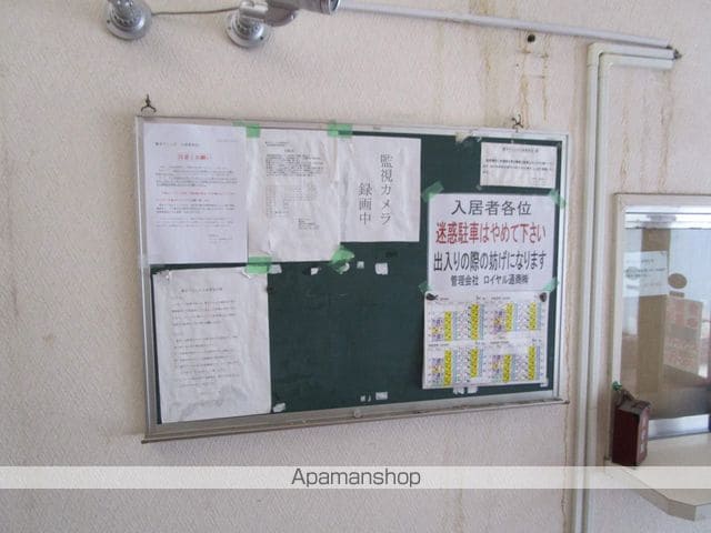 豊平アシュウのその他写真