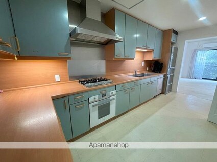 アモン池田山[3LDK/169.93m2]のキッチン