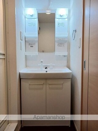 ウィステリア[1LDK/43.1m2]の洗面所