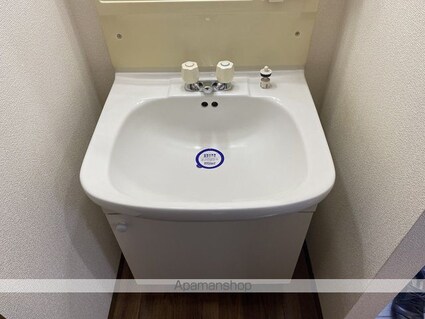 ドリームホーム[2DK/40.29m2]の洗面所