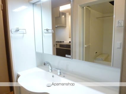 ドミールジュン[2LDK/52.53m2]の洗面所