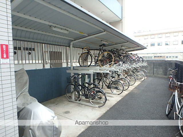 クティールMのその他写真