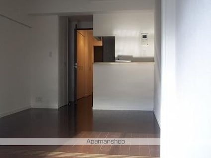 東京都豊島区北大塚３丁目[1DK/30.45m2]のその他内装3